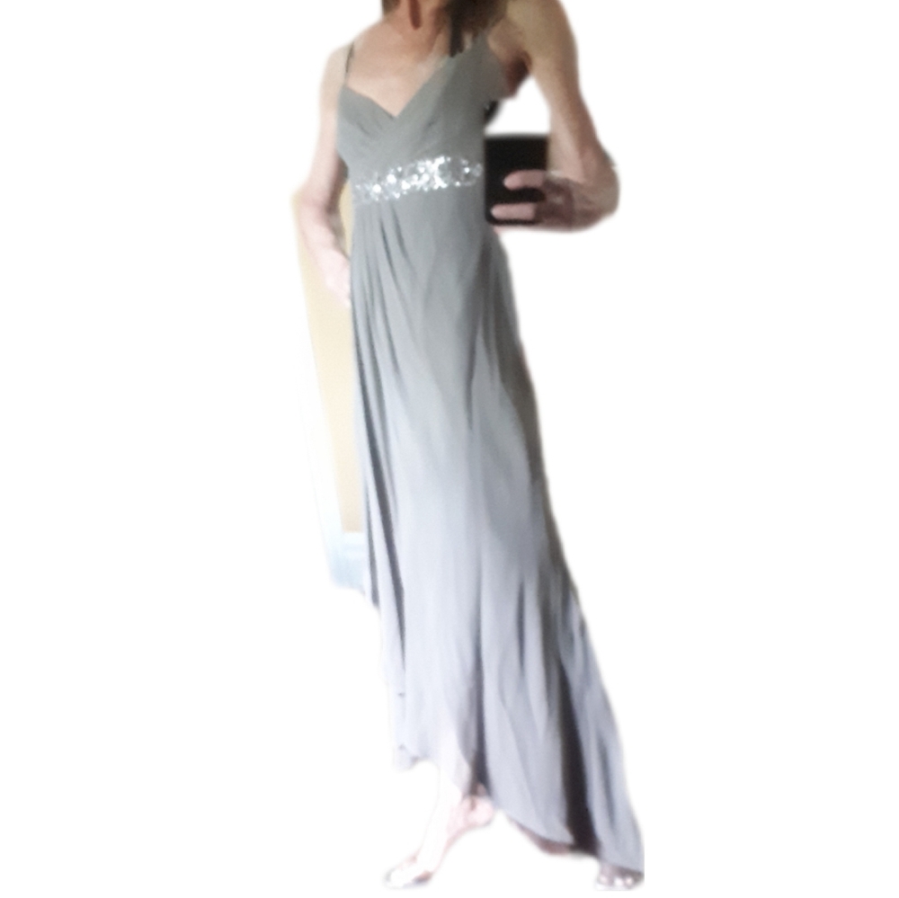 BCBGMaxAzria Khaki Silk Maxi Dress with Silver Accents